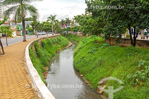  Polluted canal by irregular dumping of domestic sewage near to Comendador Jacinto Soares Souza Lima Avenue  - Uba city - Minas Gerais state (MG) - Brazil