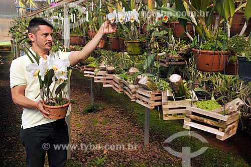  Rural producer - greenhouse orchid  - Sao Jose do Rio Preto city - Sao Paulo state (SP) - Brazil