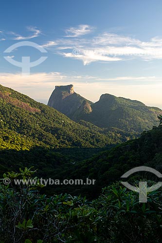  View of Rock of Gavea and Pedra Bonita (Bonita Stone) from the Rock of Proa (Rock of Prow)  - Rio de Janeiro city - Rio de Janeiro state (RJ) - Brazil