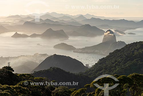  View of the dawn - Sugarloaf from Sumare Mountain  - Rio de Janeiro city - Rio de Janeiro state (RJ) - Brazil