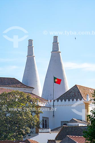  Conical chimneys of the Sintra National Palace kitchen  - Sintra municipality - Lisbon district - Portugal