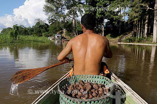  Rural producer of andiroba - Bom Jesus Riparian Community - Uacari Sustainable Development Reserve  - Carauari city - Amazonas state (AM) - Brazil