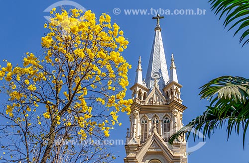  Detail of Yellow Ipe tree and belfry of the Our Lady of Good Voyage Cathedral (1932)  - Belo Horizonte city - Minas Gerais state (MG) - Brazil
