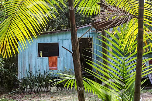  House - riparian community - Puranga Conquista Sustainable Development Reserve  - Manaus city - Amazonas state (AM) - Brazil