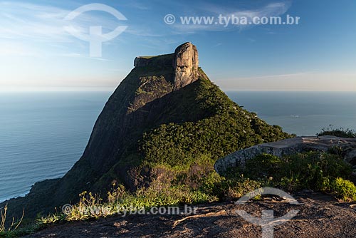  View of the Rock of Gavea from Pedra Bonita (Bonita Stone)  - Rio de Janeiro city - Rio de Janeiro state (RJ) - Brazil