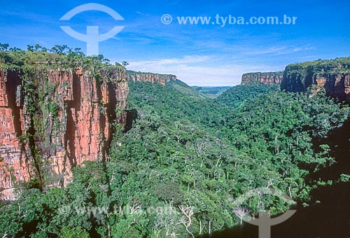  Sandstone rock formation - Chapada dos Guimaraes National Park - 2000s  - Chapada dos Guimaraes city - Mato Grosso state (MT) - Brazil