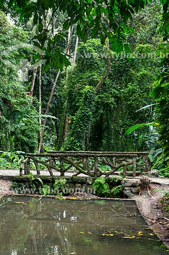  Bridge over of river - Tijuca National Park  - Rio de Janeiro city - Rio de Janeiro state (RJ) - Brazil