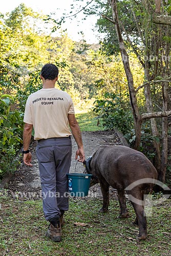  Rural worker and tapir (Tapirus terrestris) necklace GPS to monitoring for animal - Guapiacu Ecological Reserve  - Cachoeiras de Macacu city - Rio de Janeiro state (RJ) - Brazil