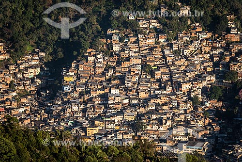  View of the dawn - Borel Hill from Sumare Mountain  - Rio de Janeiro city - Rio de Janeiro state (RJ) - Brazil