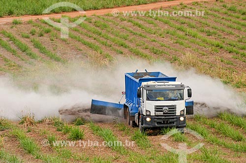  Truck spreading limestone in sugar cane plantation  - Mirassol city - Sao Paulo state (SP) - Brazil