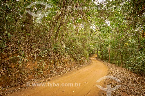  Dirt road - Guarani city rural zone  - Guarani city - Minas Gerais state (MG) - Brazil