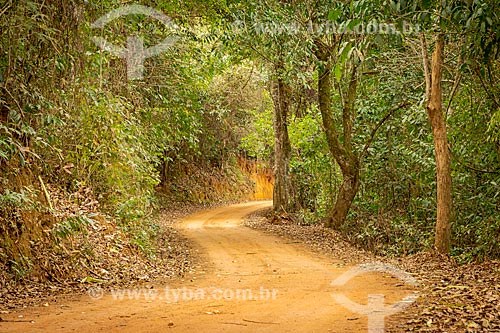  Dirt road - Guarani city rural zone  - Guarani city - Minas Gerais state (MG) - Brazil