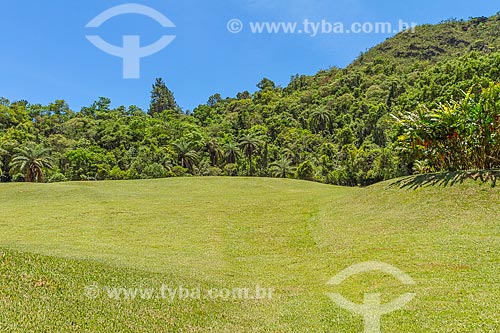  Grassy area next to native forest inside of Retiro das Pedras Condominium  - Nova Lima city - Minas Gerais state (MG) - Brazil