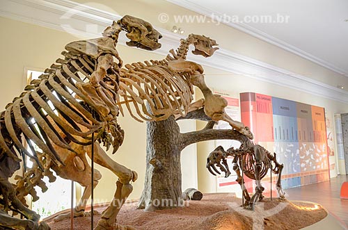  Replica of Paraphysornis brasiliensis, giant carnivorous bird of Brazilian Cenozoic period on exhibit - National Museum - old Sao Cristovao Palace  - Rio de Janeiro city - Rio de Janeiro state (RJ) - Brazil