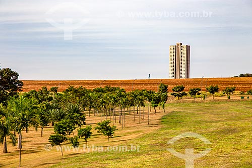  Trees of Olhos DAgua (Water Eyes) Park with the residential condominium in the background  - Ribeirao Preto city - Sao Paulo state (SP) - Brazil