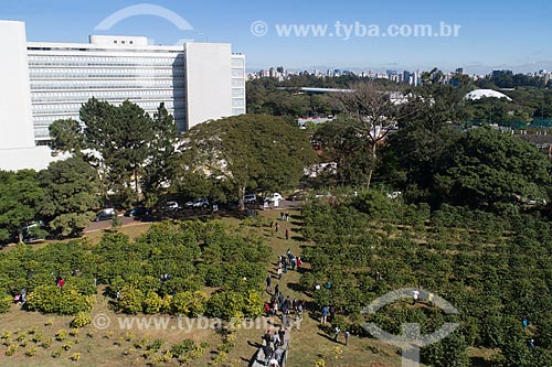  Urban coffee harvest at the Biological Institute  - Sao Paulo city - Sao Paulo state (SP) - Brazil