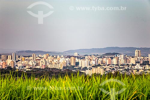  Canavial with the Ribeirao Preto city in the background  - Ribeirao Preto city - Sao Paulo state (SP) - Brazil