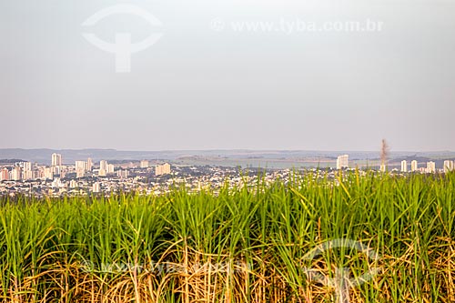  Canavial with the Ribeirao Preto city in the background  - Ribeirao Preto city - Sao Paulo state (SP) - Brazil