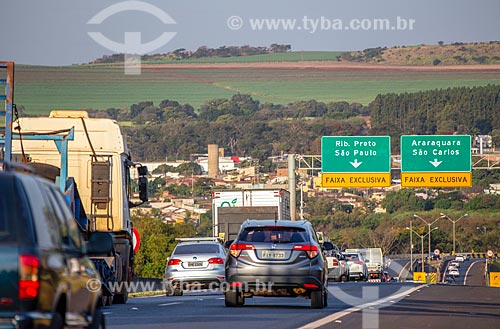 Traffic - junction of SP-322 and SP-255 highways  - Ribeirao Preto city - Sao Paulo state (SP) - Brazil