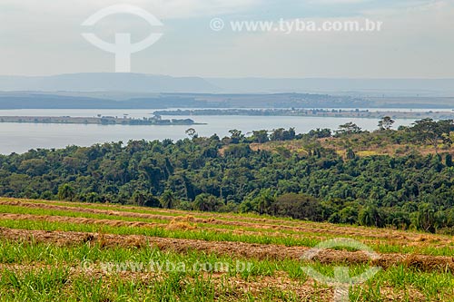  Canavial and typical vegetation of cerrado on the banks of the Piracicaba River with the Itaqueri Mountain Range in the background  - Santa Maria da Serra city - Sao Paulo state (SP) - Brazil