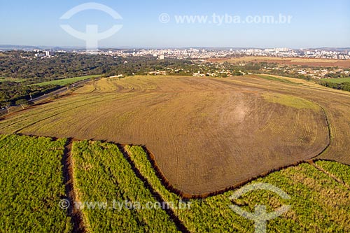  Picture taken with drone of canavial near to SP-333 highway with the Ribeirao Preto city in the background  - Ribeirao Preto city - Sao Paulo state (SP) - Brazil