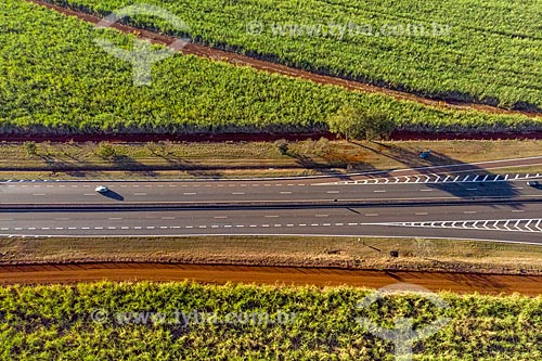  Picture taken with drone of the SP-333 highway amid the canavial  - Ribeirao Preto city - Sao Paulo state (SP) - Brazil