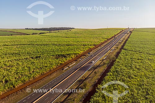  Picture taken with drone of the SP-333 highway amid the canavial  - Ribeirao Preto city - Sao Paulo state (SP) - Brazil