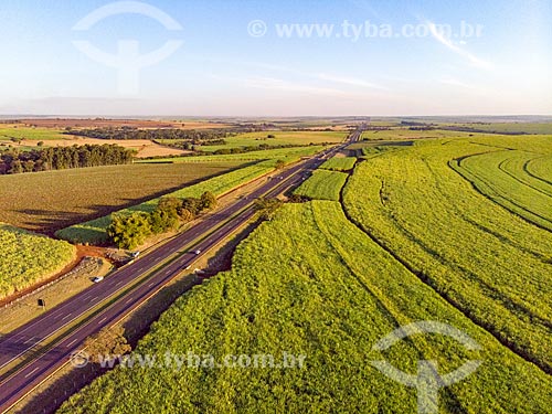  Picture taken with drone of the Mario Donega Highway (SP-291) amid the canavial  - Ribeirao Preto city - Sao Paulo state (SP) - Brazil