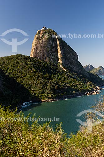  View of Sugarloaf from Babilonia Mountain (Babylon Mountain)  - Rio de Janeiro city - Rio de Janeiro state (RJ) - Brazil