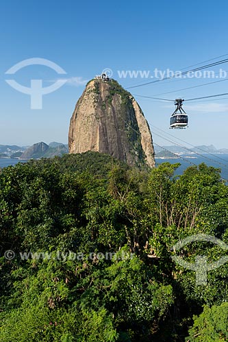  Cable car making the crossing between the Urca Mountain and Sugarloaf  - Rio de Janeiro city - Rio de Janeiro state (RJ) - Brazil