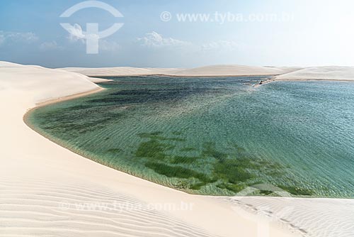  View of lagoon - Lencois Maranhenses National Park  - Barreirinhas city - Maranhao state (MA) - Brazil