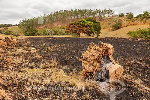  Urban land burned legally  - Guarani city - Minas Gerais state (MG) - Brazil