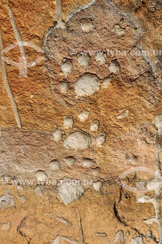 Detail of petroglyph - Pata da Onça Archaeological Site - Bom Jardim Mountain Range  - Alcinopolis city - Mato Grosso do Sul state (MS) - Brazil