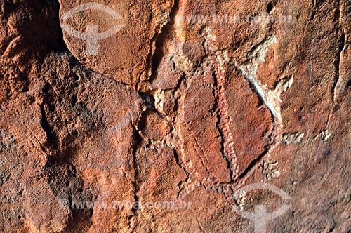  Detail of petroglyph - Templo dos Pilares Archaeological Site - Municipal Natural Park of Templo dos Pilares - Bom Jardim Mountain Range  - Alcinopolis city - Mato Grosso do Sul state (MS) - Brazil