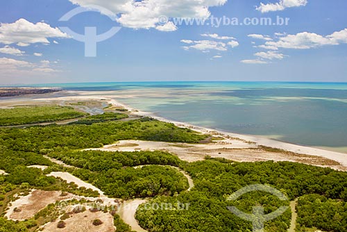  Barra Grande Beach  - Cajueiro da Praia city - Piaui state (PI) - Brazil