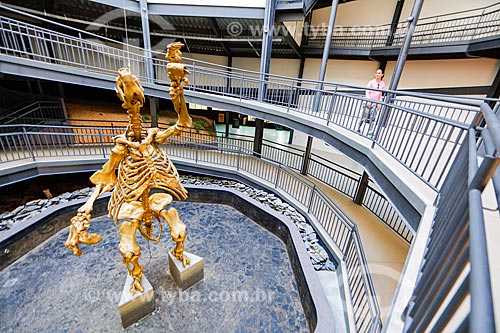  Replica of a megafauna animal - Giant sloth - Nature Museum  - Coronel Jose Dias city - Piaui state (PI) - Brazil