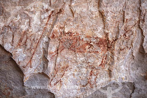  Detail of rupestrian painting - animals and people figures - Archaeological Site of Toca do Vento - Serra da Capivara National Park  - Sao Raimundo Nonato city - Piaui state (PI) - Brazil