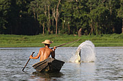  Fisherman with harpoon during Pirarucu (Arapaima gigas) fishing - Piagacu-Purus Sustainable Development Reserve  - Beruri city - Amazonas state (AM) - Brazil