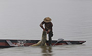  Fisherman during Pirarucu (Arapaima gigas) fishing - Piagacu-Purus Sustainable Development Reserve  - Beruri city - Amazonas state (AM) - Brazil