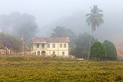  Colonial farm in morning with fog  - Guarani city - Minas Gerais state (MG) - Brazil