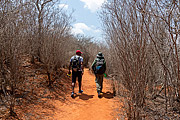  Tourists walking by trail  - Iraquara city - Bahia state (BA) - Brazil