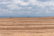 View of field being irrigated  - Nova Redencao city - Bahia state (BA) - Brazil