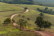  Dirt road in Diamantina Plateau  - Ibicoara city - Bahia state (BA) - Brazil