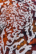  Graphic foam in the waters of Tiburtino Waterfall  - Mucuge city - Bahia state (BA) - Brazil