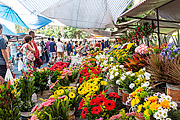  Flowers for sale in street market  - Rio de Janeiro city - Rio de Janeiro state (RJ) - Brazil