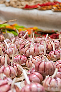  Detail of garlic (Allium sativum) to sale - street fair  - Rio de Janeiro city - Rio de Janeiro state (RJ) - Brazil