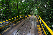  Wooden bridge over the Pedras River  - Sao Sebastiao city - Sao Paulo state (SP) - Brazil