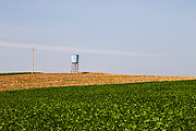  Soy plantation with water box suspended in the background  - Derrubadas city - Rio Grande do Sul state (RS) - Brazil