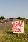  Sign announcing fruit sale - BR-290 highway  - Rosario do Sul city - Rio Grande do Sul state (RS) - Brazil