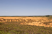  Aerial view of native pasture in the process of sanding in southern fields  - Quarai city - Rio Grande do Sul state (RS) - Brazil